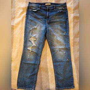 Willow & Root Everyday Jean - Distressed Blue Jeans